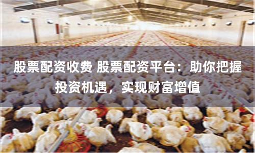 股票配资收费 股票配资平台：助你把握投资机遇，实现财富增值