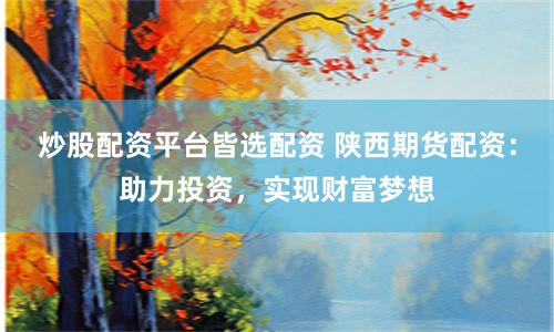 炒股配资平台皆选配资 陕西期货配资：助力投资，实现财富梦想